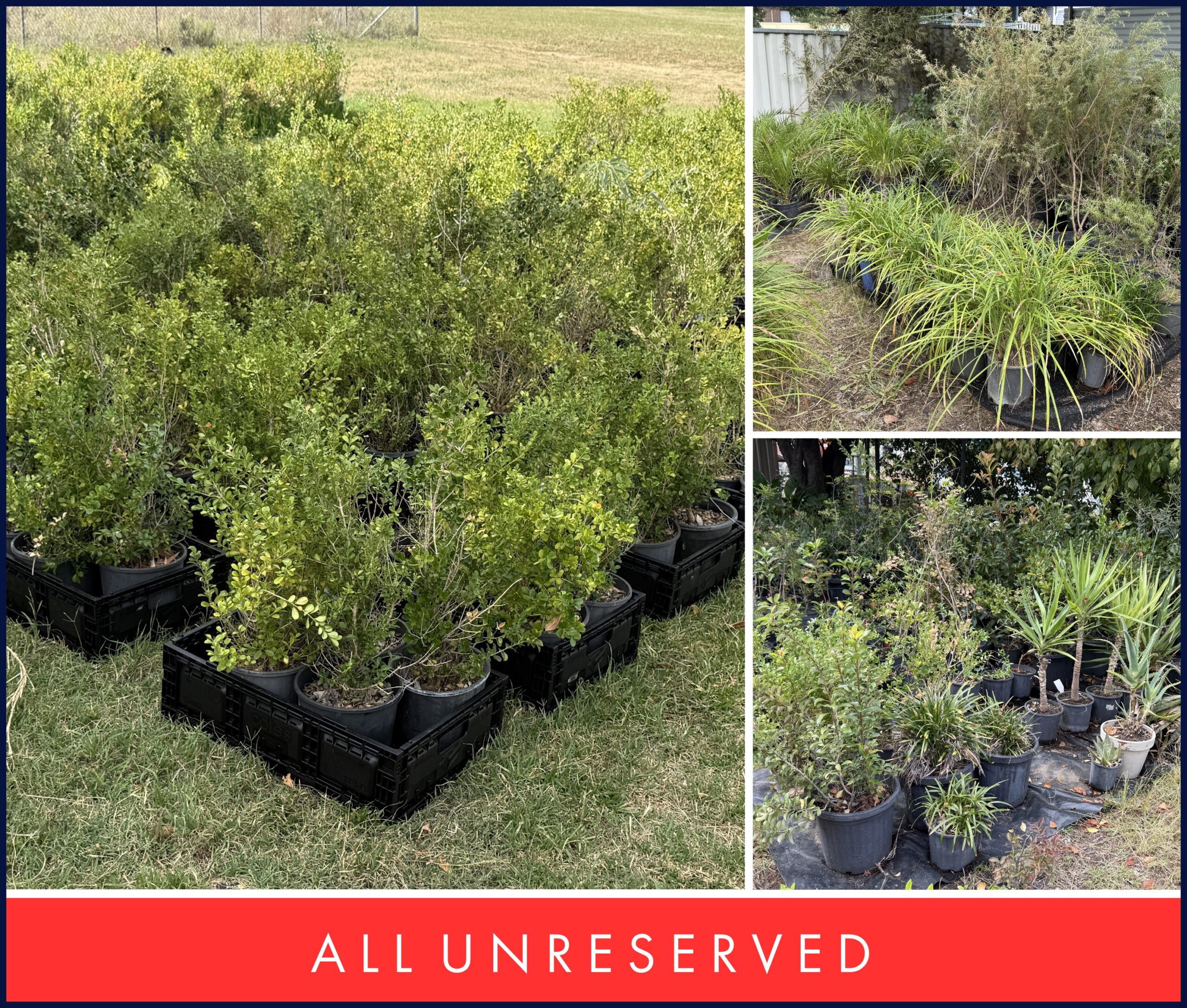 UNRESERVED TREES & SHRUBS NURSERY CLOSURE